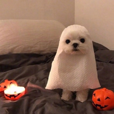 超绝!一左一右的搞笑情侣头像来啦!