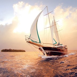 💪2025最新款微信励志头像来袭!