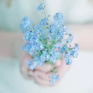 头像简约干净阳光治愈,被这组头像狠狠拿捏✨