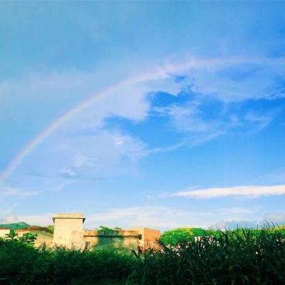 这些好运爆棚的微信头像来啦