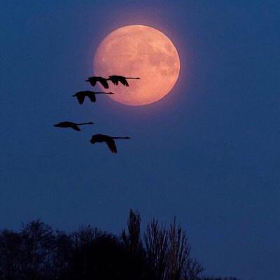 超绝！那些有深意的微信头像图片