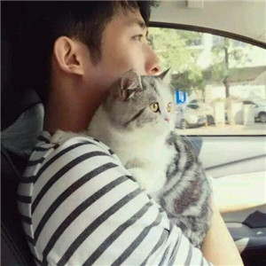 超萌带猫情侣头像来袭🐱一左一右超有默契