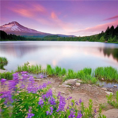 招财平安系风景微信图片来袭✨ 