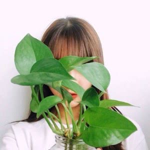 被这张绿萝挡脸女生头像美到啦😍