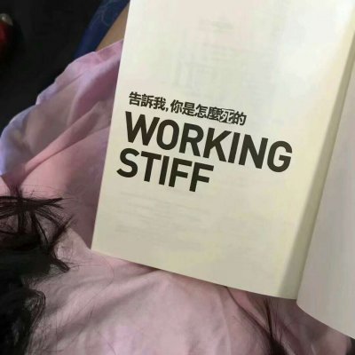 被狠狠拿捏的个性静物头像✨ 