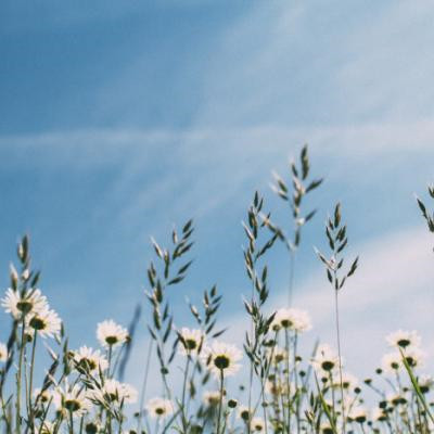 一看就舒心的微信风景头像图片，换上心情都会变好