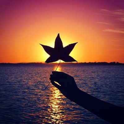 简约干净又高清唯美的微信头像来啦✨