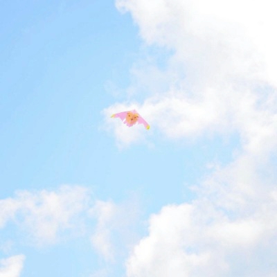 蓝色系唯美静物风景图片大全，被美到失语！