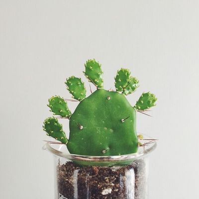 唯美静物微信头像来袭✨ 