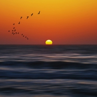 被QQ光影头像图片惊艳到啦✨