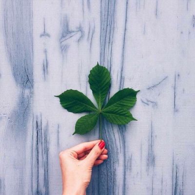 文艺小清新图片头像来袭✨