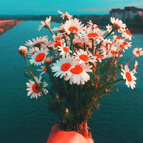 被美哭😭这些高清唯美微信头像风景图绝了