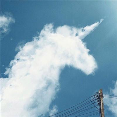 转运好运头像图片大集合,快来挑一个!