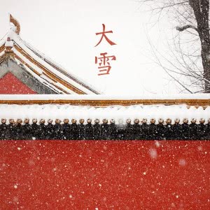 大雪时节氛围感头像图片来袭✨