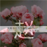 带字赵姓专属头像来咯👏