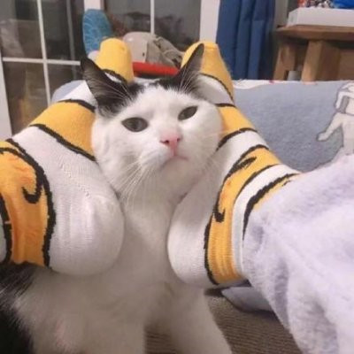 萌翻!猫咪主题可爱搞怪一左一右情侣头像✨