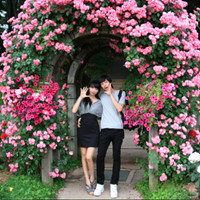 森系意境情侣头像一对两张🌿超有感觉