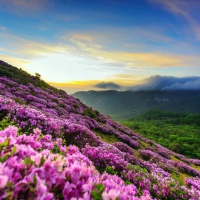 QQ手机风景头像图片大全推荐