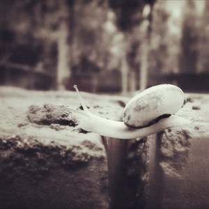 冲鸭!2025励志图片头像大集合