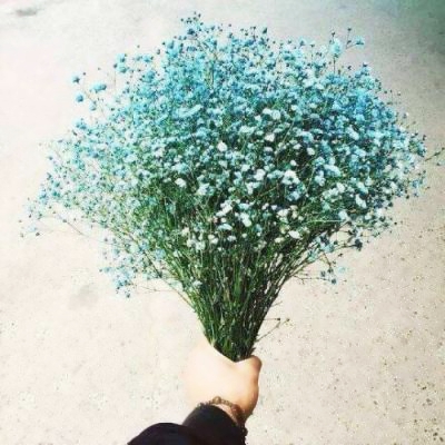 谁能拒绝花束头像图片！超美