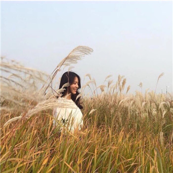 🌳森系唯美清纯一左一右情侣头像大合集来啦