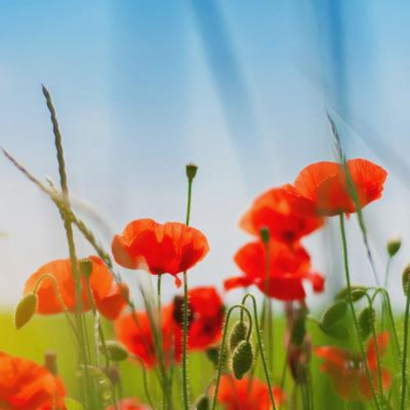 唯美风景微信头像图片,每一张都好看