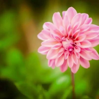 👴适合长辈用的微信头像来咯！