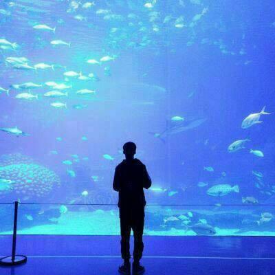 💕超有意境的一男一女情侣头像大集合