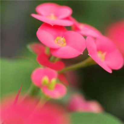 🌌意境唯美微信头像,一眼就心动!