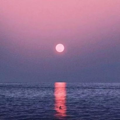 狠狠心动！唯美清新图片大集合