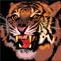 被这波老虎头像帅到！霸气值拉满🐯