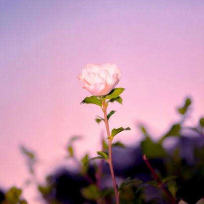 被这些抖音风景头像美到啦!