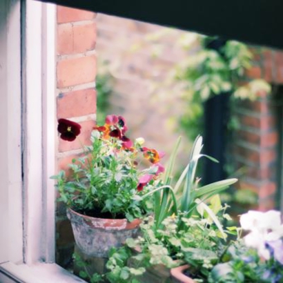 超美的微信小清新风景头像推荐