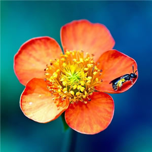 2025必看！超全好运头像大集合来啦