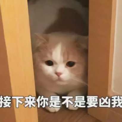 萌娃可爱表情包带字头像图片