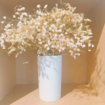 被这组好看的唯美静物头像美哭啦