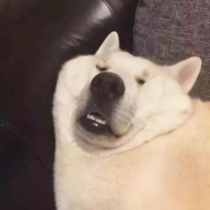 超有爱！情侣头像两张一对合集