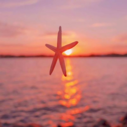 美好风景头像大集合，快来挑一个！