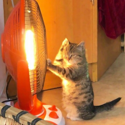 被这组搞怪犯二情侣头像笑晕！快码住