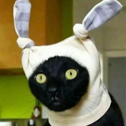 被这些搞怪又可爱的头像萌化啦