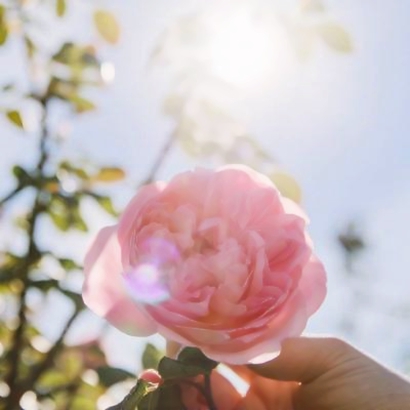 2026最新微信头像好运图片（新款）：招好运、显个性，速换！