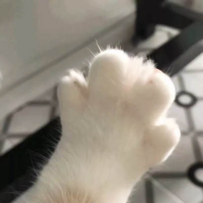 高甜！一左一右可爱动物情侣头像合集，情侣必备款