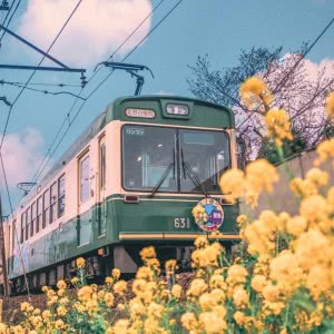 哇塞！这张开往春天的列车头像绝了