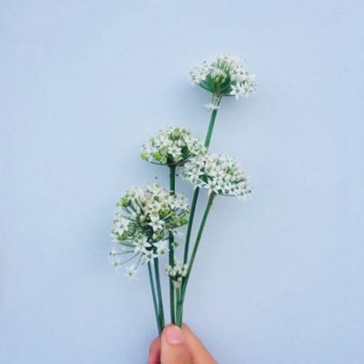 静物唯美头像图片大全:从日常小物到艺术创作,满足你的审美需求