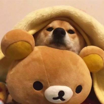 可爱情侣头像一左一右 男生女生适配 日常撒糖必备