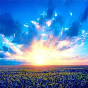 头像风景优雅文艺图片：小众清新风，氛围感拉满