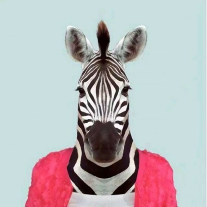 小众高级动物头人身头像合集 - 告别撞款超吸睛