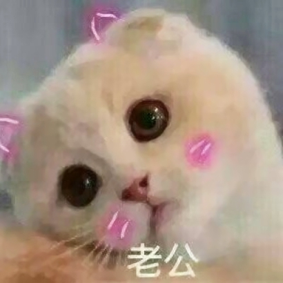 软萌暴击！超可爱的情侣猫咪头像