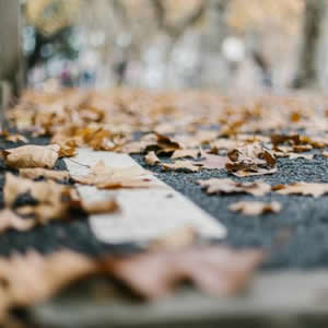 微信头像唯美风景:治愈系自然景色,小众不撞款