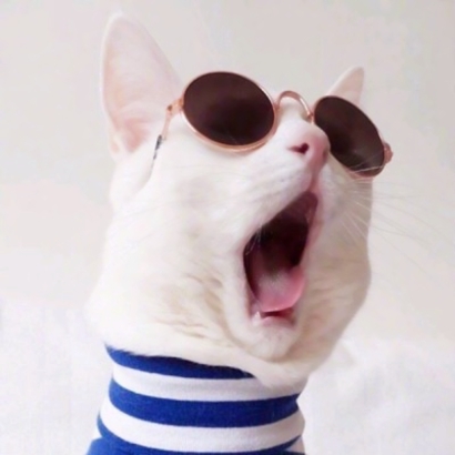 萌宠动物头像大全｜治愈系小动物头像、个性萌宠头像一站式获取